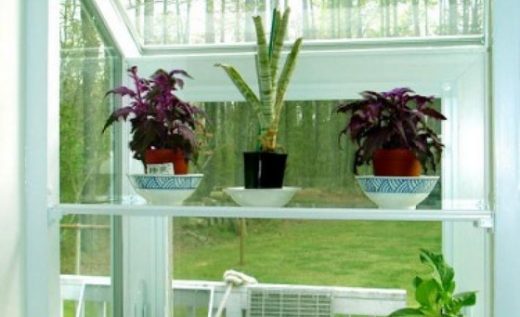 Как красиво разместить растения в небольшой квартире