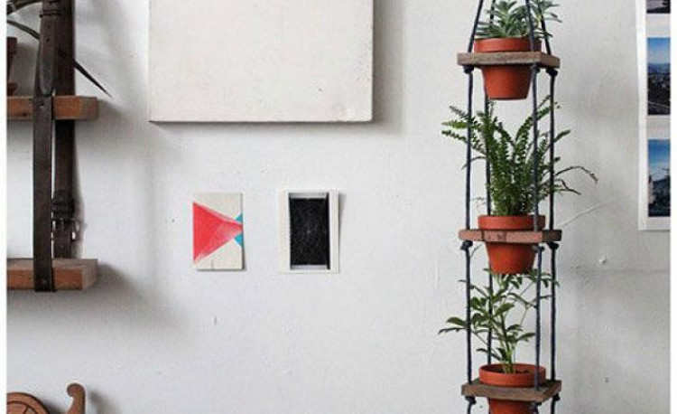 Как красиво разместить растения в небольшой квартире