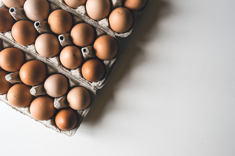 Что нужно знать о куриных яйцах