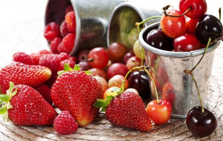 Хранение ягод и фруктов
